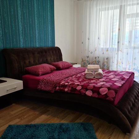 Premium Apartment Isaran ブラショフ エクステリア 写真